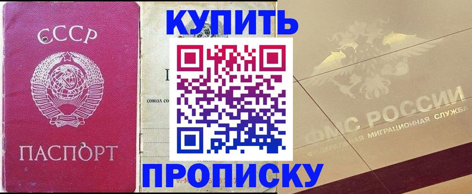 прописка для школы в Камешково